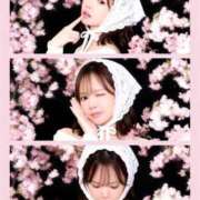 ヒメ日記 2026/03/23 05:30 投稿 白河あいね Finemotion