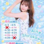 ヒメ日記 2026/03/23 17:30 投稿 白河あいね Finemotion