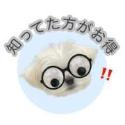 ヒメ日記 2026/04/14 19:45 投稿 白河あいね Finemotion