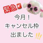 ヒメ日記 2026/04/23 12:02 投稿 白河あいね Finemotion