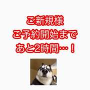 ヒメ日記 2026/04/24 17:02 投稿 白河あいね Finemotion