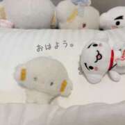 ヒメ日記 2026/05/06 07:01 投稿 白河あいね Finemotion