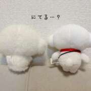 ヒメ日記 2026/05/06 08:30 投稿 白河あいね Finemotion