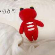 ヒメ日記 2026/05/08 06:15 投稿 白河あいね Finemotion