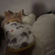 ヒメ日記 2026/05/14 12:20 投稿 白河あいね Finemotion