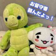 ヒメ日記 2026/06/12 11:45 投稿 白河あいね Finemotion