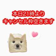 ヒメ日記 2026/06/22 09:01 投稿 白河あいね Finemotion