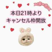 ヒメ日記 2026/07/09 07:45 投稿 白河あいね Finemotion