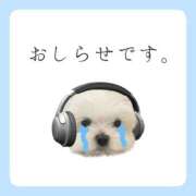 ヒメ日記 2026/08/16 06:31 投稿 白河あいね Finemotion