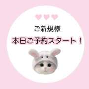 ヒメ日記 2026/09/17 13:16 投稿 白河あいね Finemotion