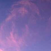 ヒメ日記 2025/07/24 20:57 投稿 れいか ぷるりんクエスト上野浅草鶯谷秋葉原デリヘル王国