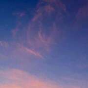 ヒメ日記 2025/08/18 15:57 投稿 れいか ぷるりんクエスト上野浅草鶯谷秋葉原デリヘル王国