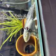 ヒメ日記 2025/05/16 08:00 投稿 うた 神田はっち