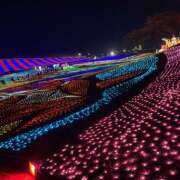 ヒメ日記 2025/06/03 23:47 投稿 うた 神田はっち