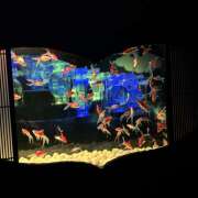 ヒメ日記 2025/07/02 20:21 投稿 うた 神田はっち