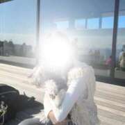 ヒメ日記 2025/05/29 16:00 投稿 RINA【りな】 ミクト東京