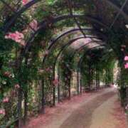 ヒメ日記 2025/05/31 13:15 投稿 RINA【りな】 ミクト東京