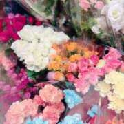 ヒメ日記 2025/06/05 19:45 投稿 RINA【りな】 ミクト東京