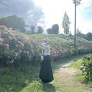 ヒメ日記 2025/06/17 10:30 投稿 RINA【りな】 ミクト東京