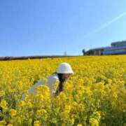 ヒメ日記 2025/07/06 00:30 投稿 RINA【りな】 ミクト東京