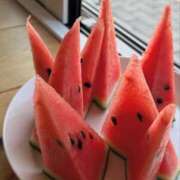 ヒメ日記 2025/07/23 11:30 投稿 YUKI【ゆき】 ミクト東京