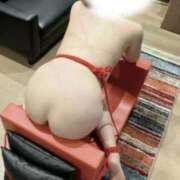 ヒメ日記 2025/05/26 10:50 投稿 響 Seirenes (セイレネス)