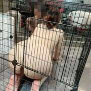 ヒメ日記 2025/06/05 10:01 投稿 響 Seirenes (セイレネス)