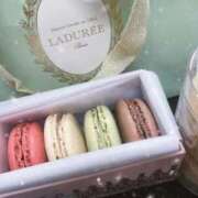 ヒメ日記 2026/01/31 16:52 投稿 響 Seirenes (セイレネス)