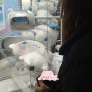 ヒメ日記 2026/02/05 12:22 投稿 響 Seirenes (セイレネス)