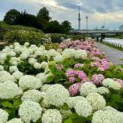 ヒメ日記 2025/05/13 13:59 投稿 箱根 アップデート