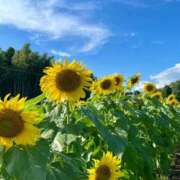 ヒメ日記 2025/05/15 18:28 投稿 箱根 アップデート