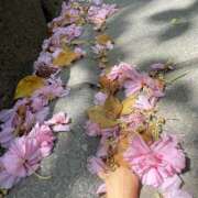 ヒメ日記 2025/05/22 16:31 投稿 箱根 アップデート