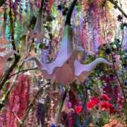 ヒメ日記 2025/05/13 13:54 投稿 レモンサワー スーパーマッサージ