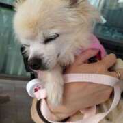 レモンサワー 10月10日金曜日❣️ スーパーマッサージ