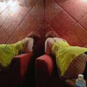 ヒメ日記 2025/07/17 18:56 投稿 めぐ 新潟市鳥屋野潟ちゃんこ