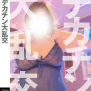 ヒメ日記 2025/07/21 15:14 投稿 めぐ 新潟市鳥屋野潟ちゃんこ