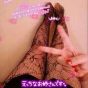 ヒメ日記 2025/09/07 21:56 投稿 めぐ 新潟市鳥屋野潟ちゃんこ