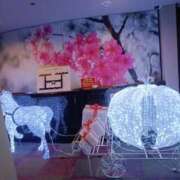 ヒメ日記 2025/11/13 12:58 投稿 めぐ 新潟市鳥屋野潟ちゃんこ