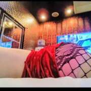 ヒメ日記 2025/11/17 18:26 投稿 めぐ 新潟市鳥屋野潟ちゃんこ