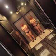 ヒメ日記 2025/11/22 13:09 投稿 めぐ 新潟市鳥屋野潟ちゃんこ