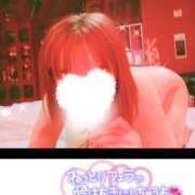 ヒメ日記 2025/12/19 12:36 投稿 めぐ 新潟市鳥屋野潟ちゃんこ