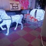 ヒメ日記 2025/12/19 19:26 投稿 めぐ 新潟市鳥屋野潟ちゃんこ