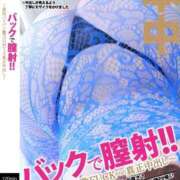 ヒメ日記 2025/12/23 16:56 投稿 めぐ 新潟市鳥屋野潟ちゃんこ