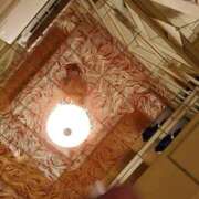 ヒメ日記 2026/04/29 07:46 投稿 めぐ 新潟市鳥屋野潟ちゃんこ