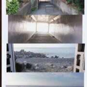 ヒメ日記 2026/08/09 08:56 投稿 めぐ 新潟市鳥屋野潟ちゃんこ