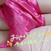 ヒメ日記 2026/08/12 08:05 投稿 めぐ 新潟市鳥屋野潟ちゃんこ