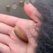 ヒメ日記 2026/01/21 09:16 投稿 めい 制服これくしょん