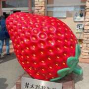 ヒメ日記 2026/03/22 23:26 投稿 めい 制服これくしょん