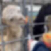 ヒメ日記 2026/03/24 23:50 投稿 めい 制服これくしょん