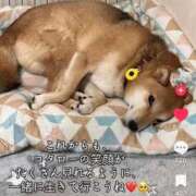 ヒメ日記 2026/05/19 23:06 投稿 めい 制服これくしょん